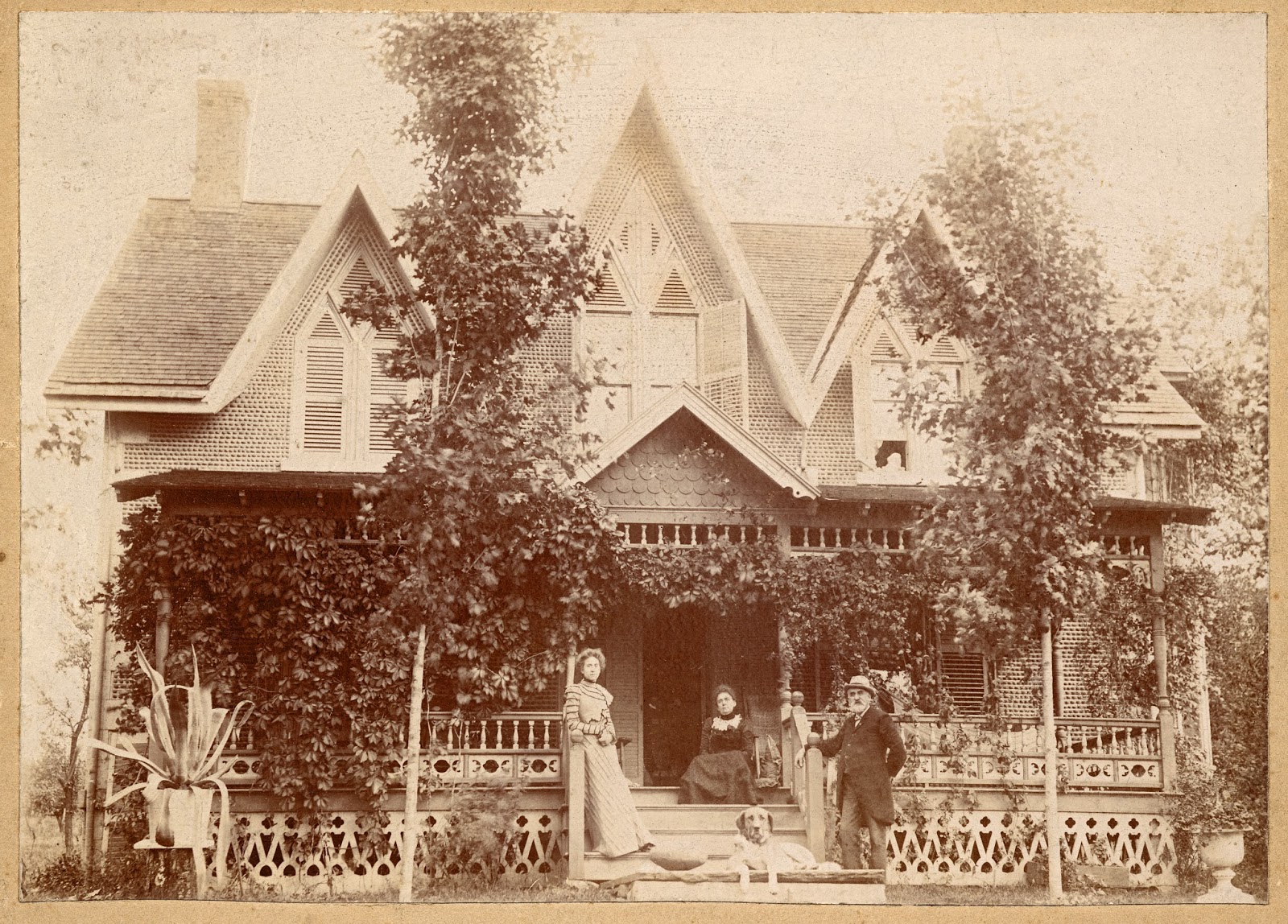 Led-1 Van Buskirt Cay-7